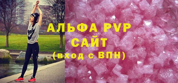 ГАЛЛЮЦИНОГЕННЫЕ ГРИБЫ Бородино