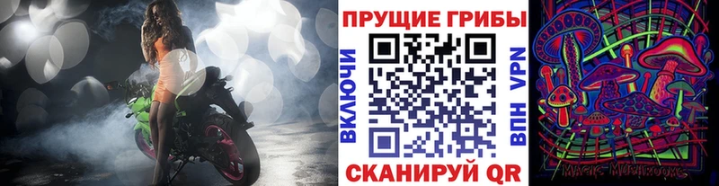 Галлюциногенные грибы Cubensis  mega зеркало  Курск 