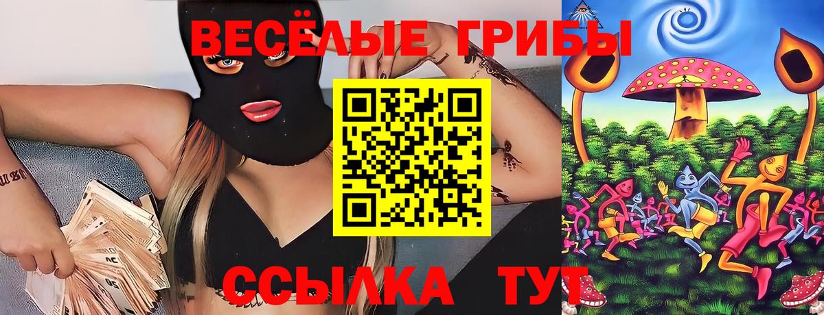 Курск  Галлюциногенные грибы ЛСД  где продают   Вход с VPN  Псилоцибиновые грибы мухоморы 